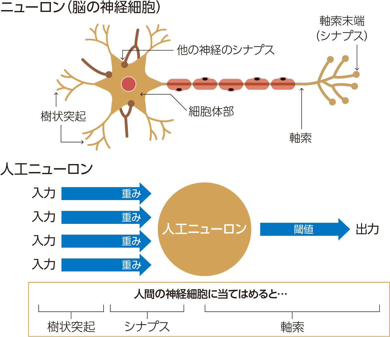 ニューラルネットワーク：IT Terminology｜Best Engine