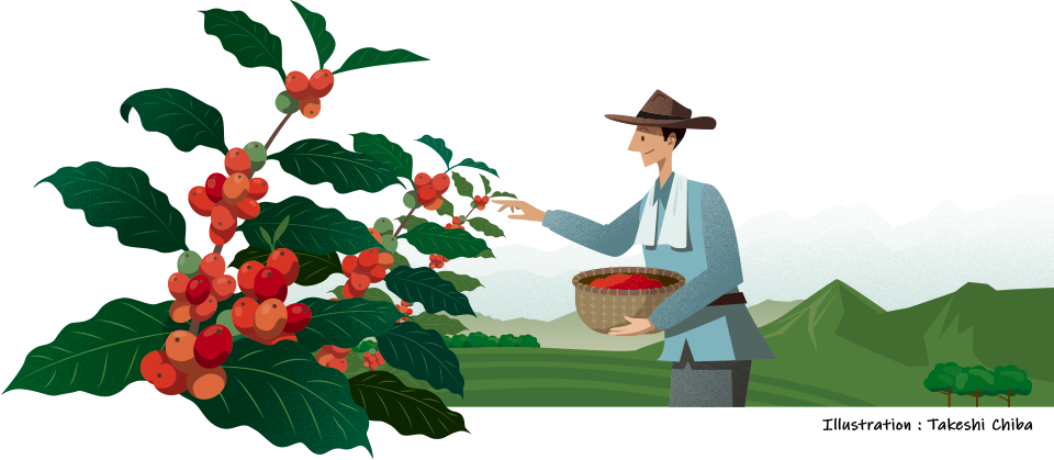 Illustration : Takeshi Chiba