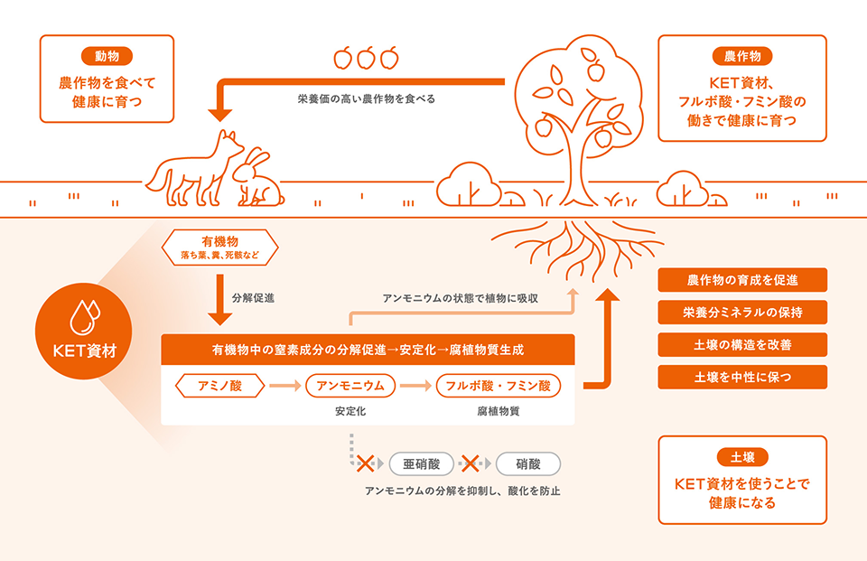 工業的な技術進歩で滞ってしまった物質循環をKETで解消し、「地球の健康」を目指す