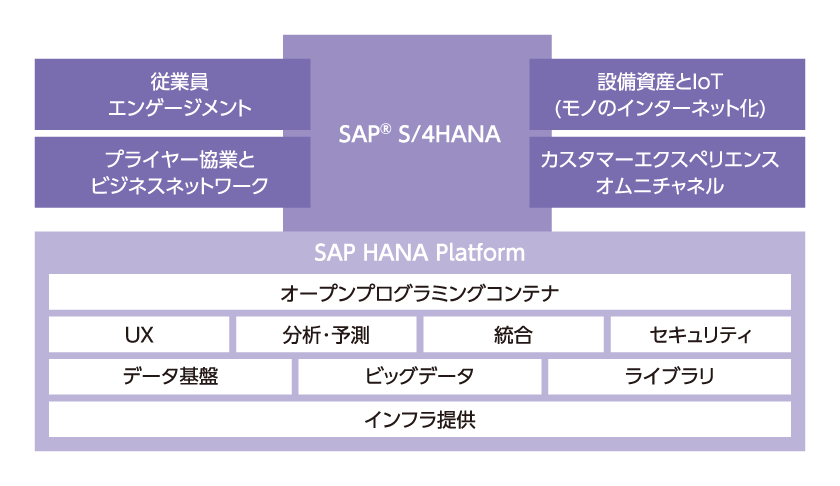 SAP® S/4HANA & SAP HANA Platform