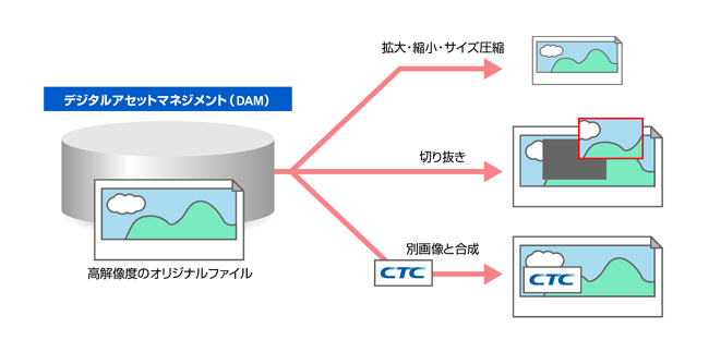 図3　ワンソースマルチユース活用