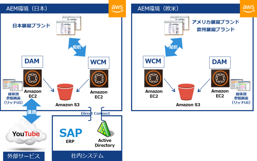 図1：花王におけるDAM/WCW環境