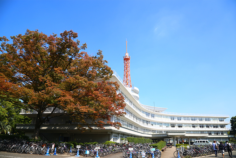 湘南キャンバスの様子