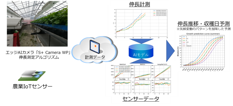 実証実験のイメージ