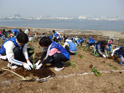 植樹場所の様子