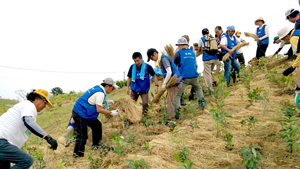 「千年希望の丘」での植樹活動