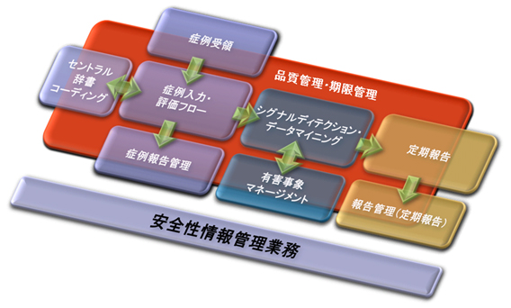 安全性情報管理業務のフロー