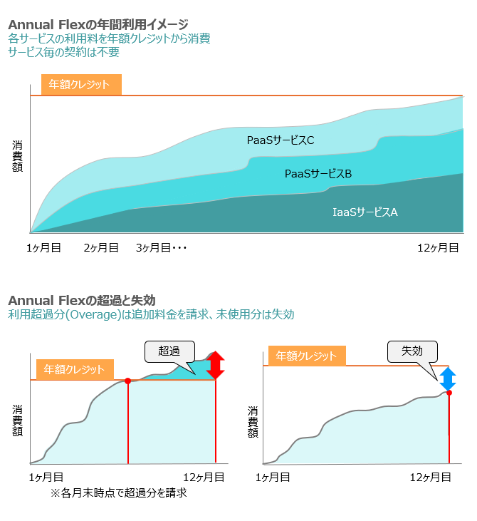 Annual Flexの年間利用イメージ
