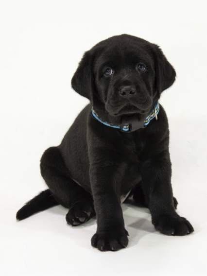 生後2ヶ月のミライ