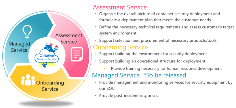 Overview of C-Native Security Service