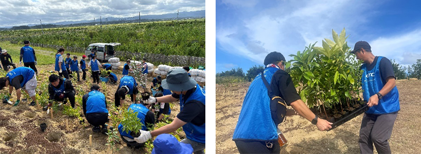 力を合わせて400本を植樹