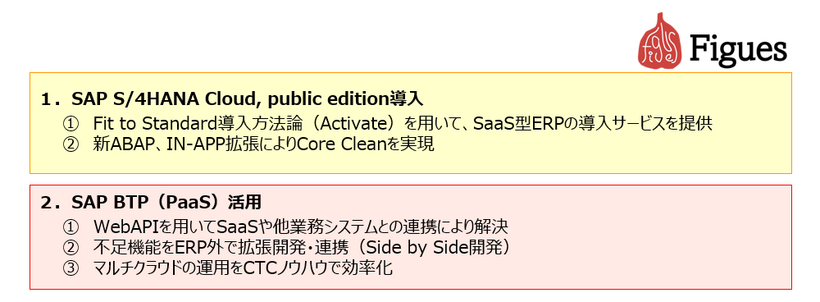 イメージ：「SAP S/4HANA Cloud, public edition導入」「SAP BTP（PaaS）活用」