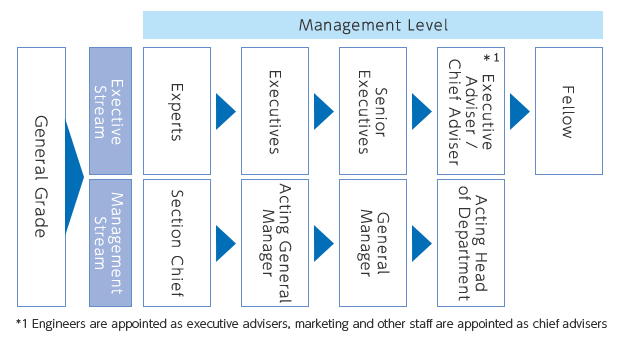 Management Level