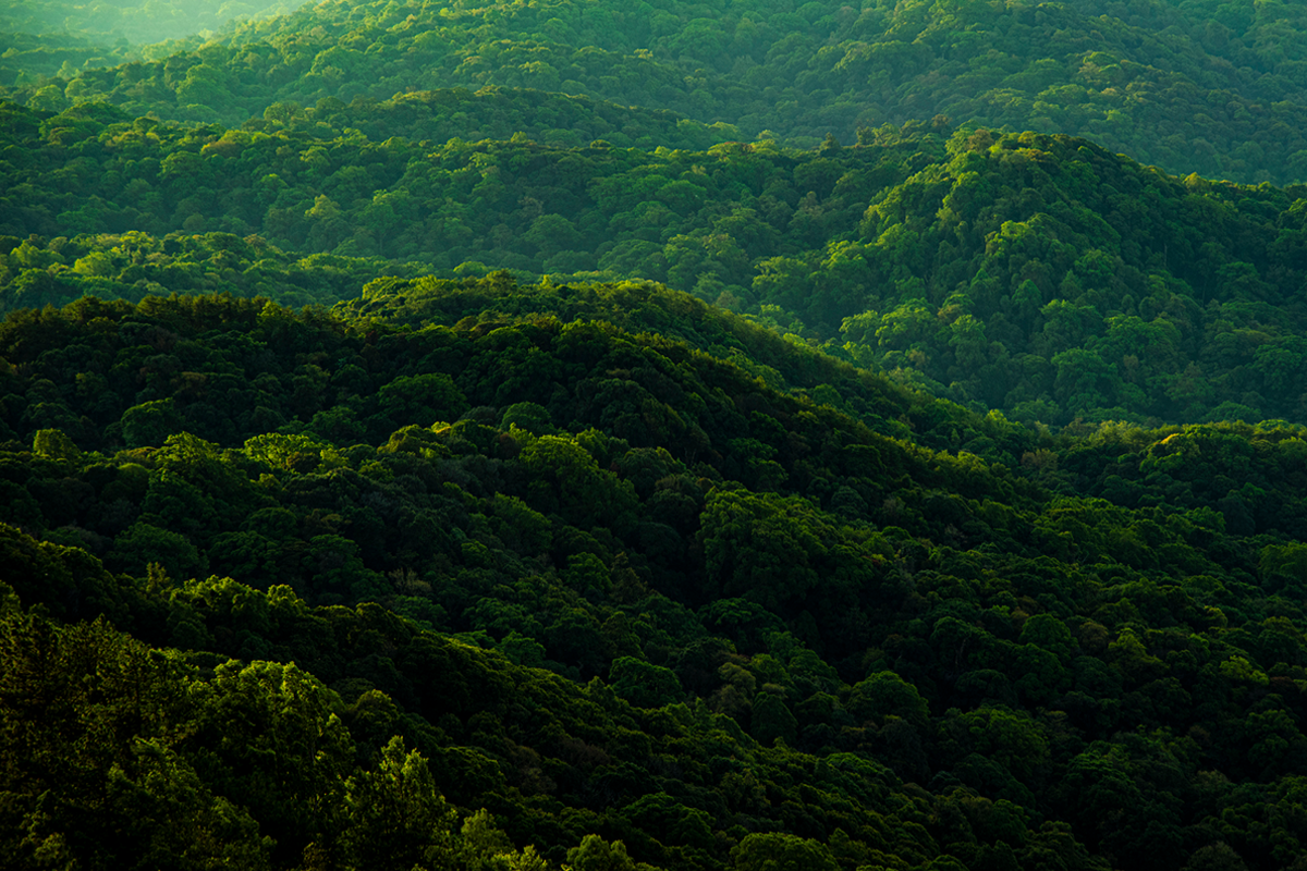 CTCのサステナビリティ