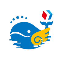 C-Native Professional Service