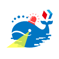 C-Native Security Service