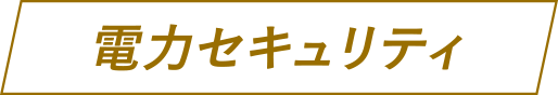 電力セキュリティ