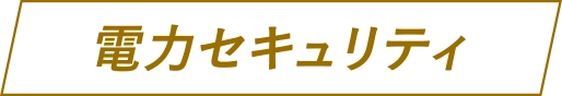 電力セキュリティ