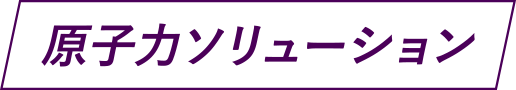 原子力ソリューション